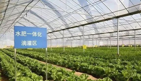 電源濾波器基礎知識